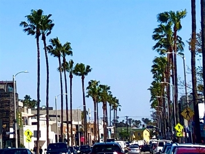 The Abbot Kinney Portfolio