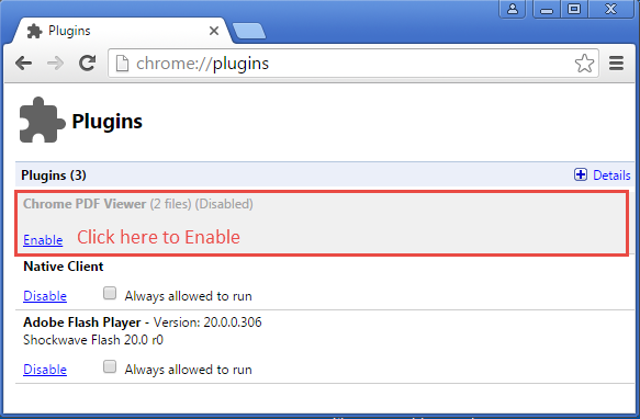 Chrome PDF Plugin